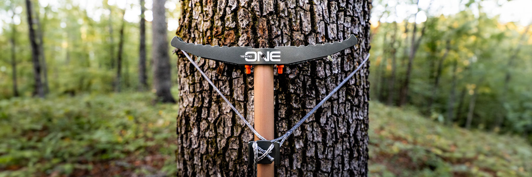 Climbing Sticks