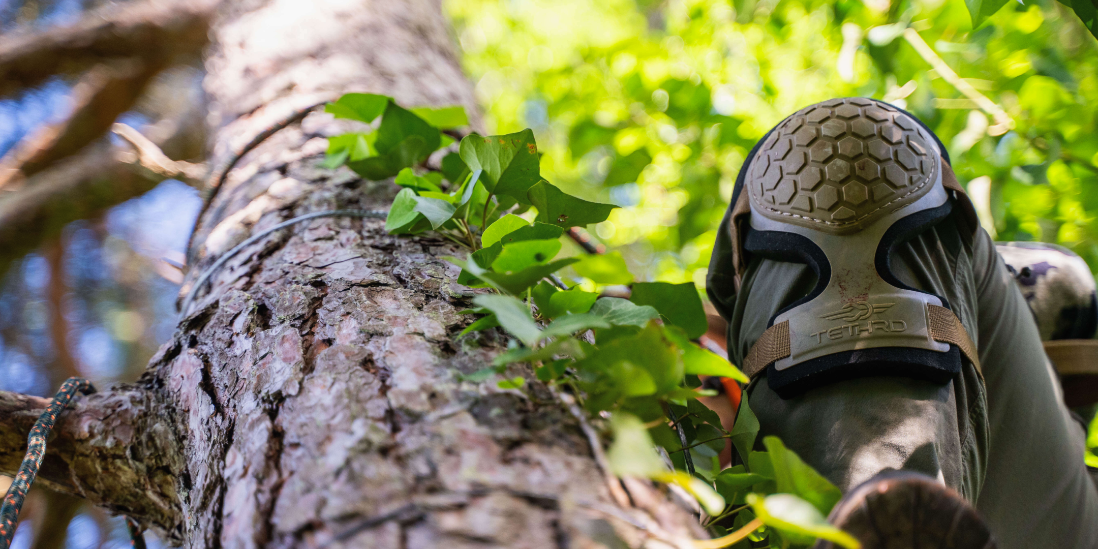 Knushion vs Knee Pads