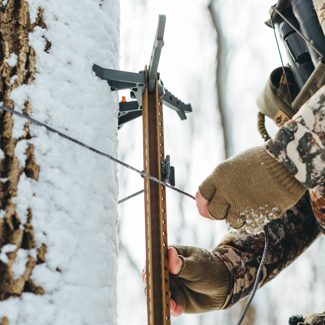 Carnivore 2 Panel Complete Starter Kit (11mm)