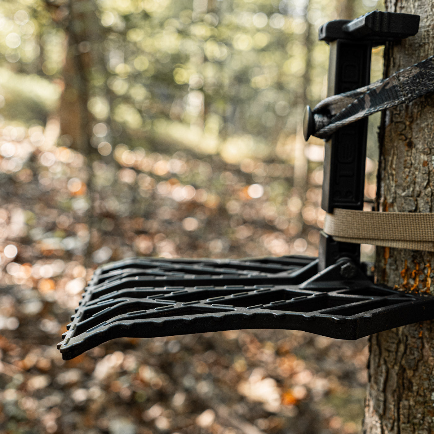 Carnivore 2 Panel Complete Starter Kit (11mm)