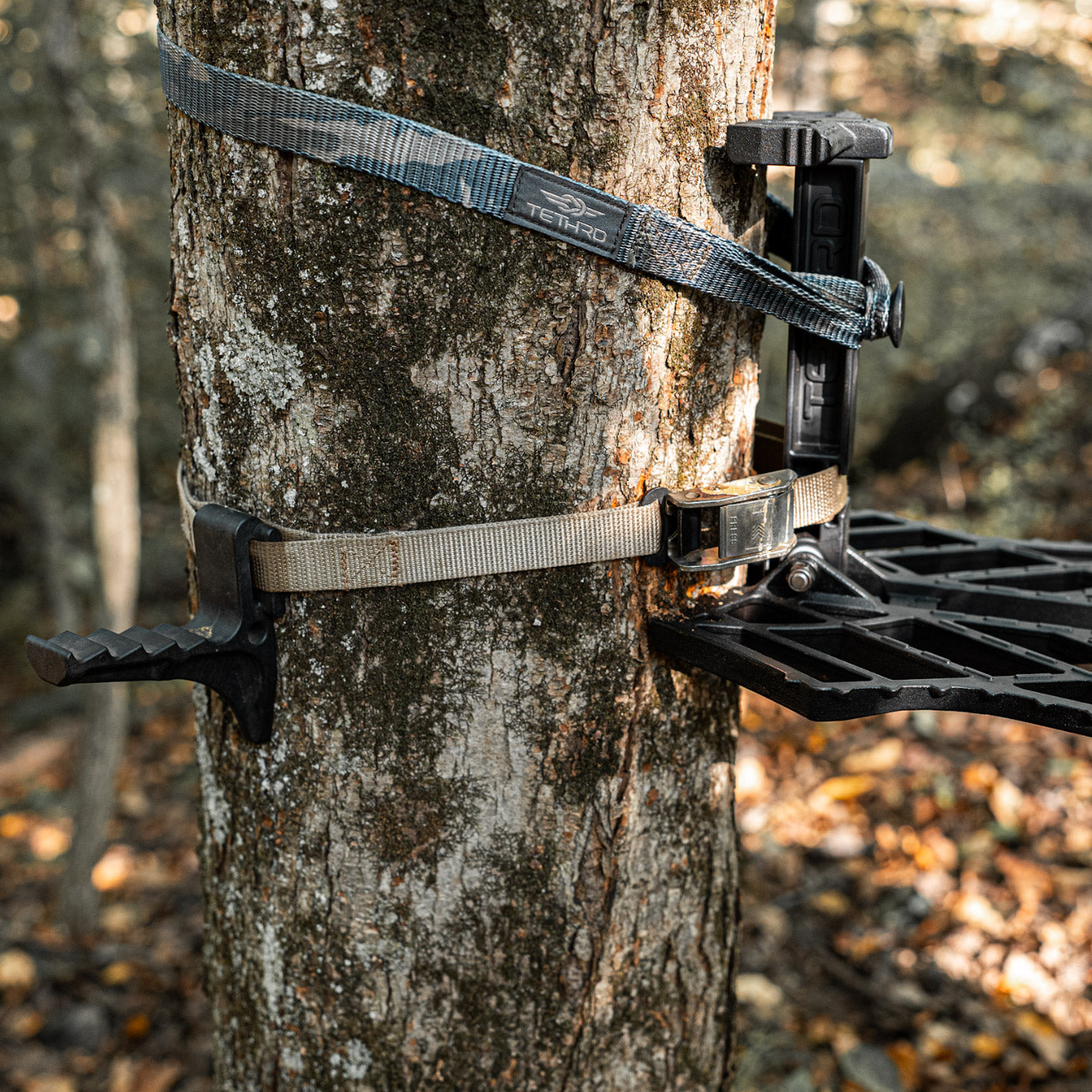 Carnivore 2 Panel Complete Starter Kit