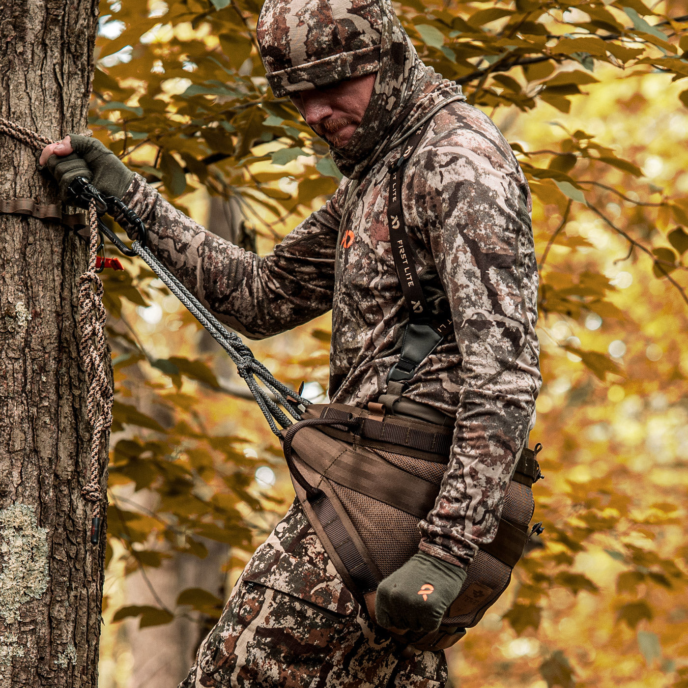 Carnivore 2 Panel Starter Kit