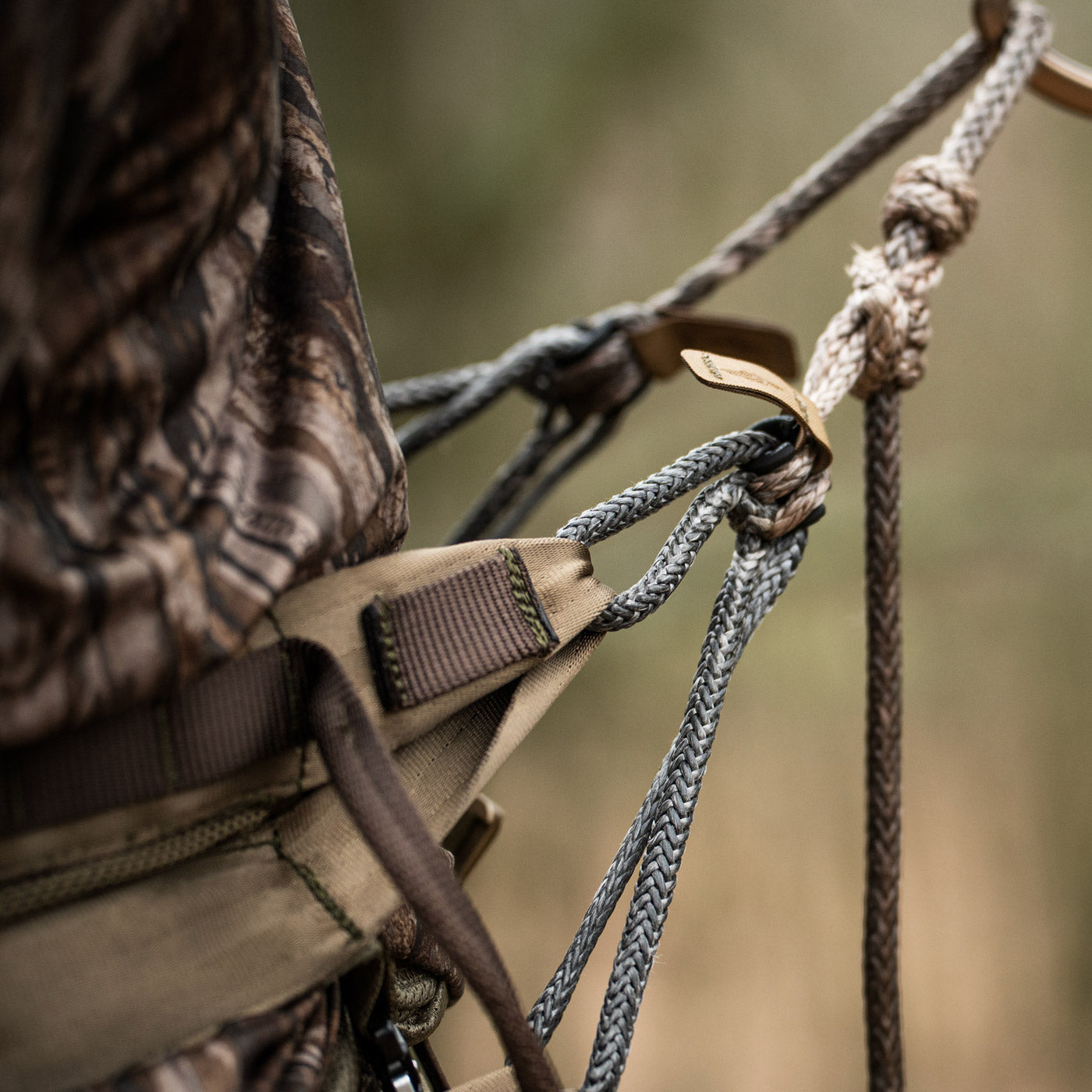 Carnivore 2 Panel Starter Kit