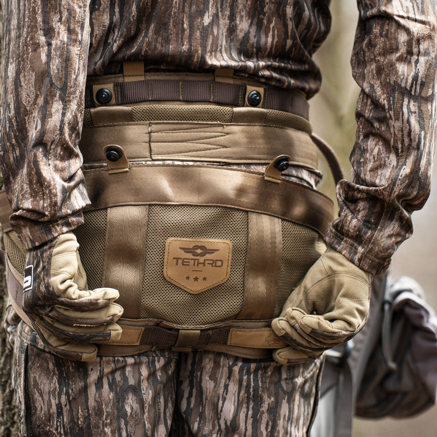 Carnivore 2 Panel Starter Kit