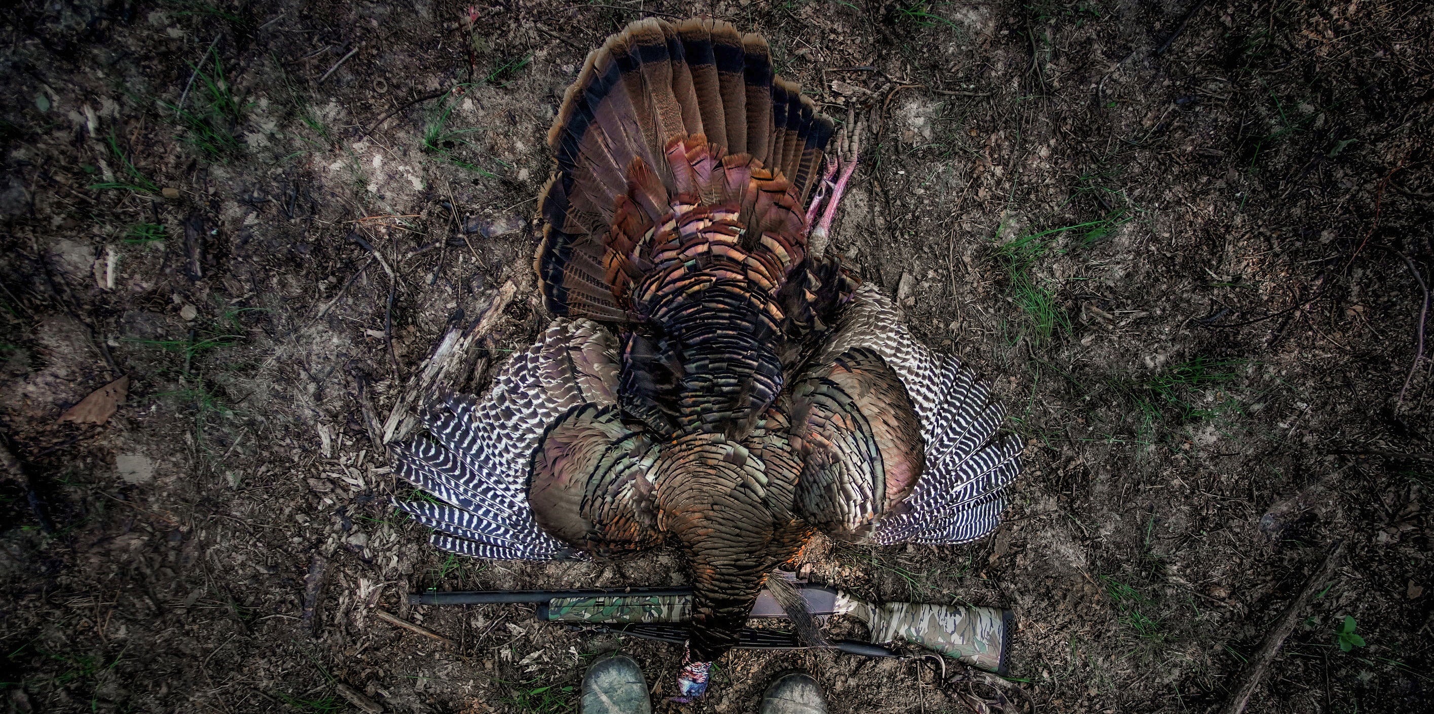 Turkey Hunting