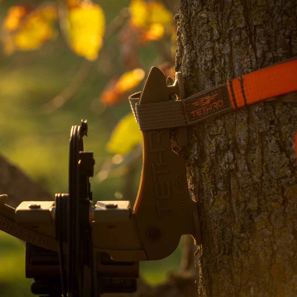 Tree Organization Kit