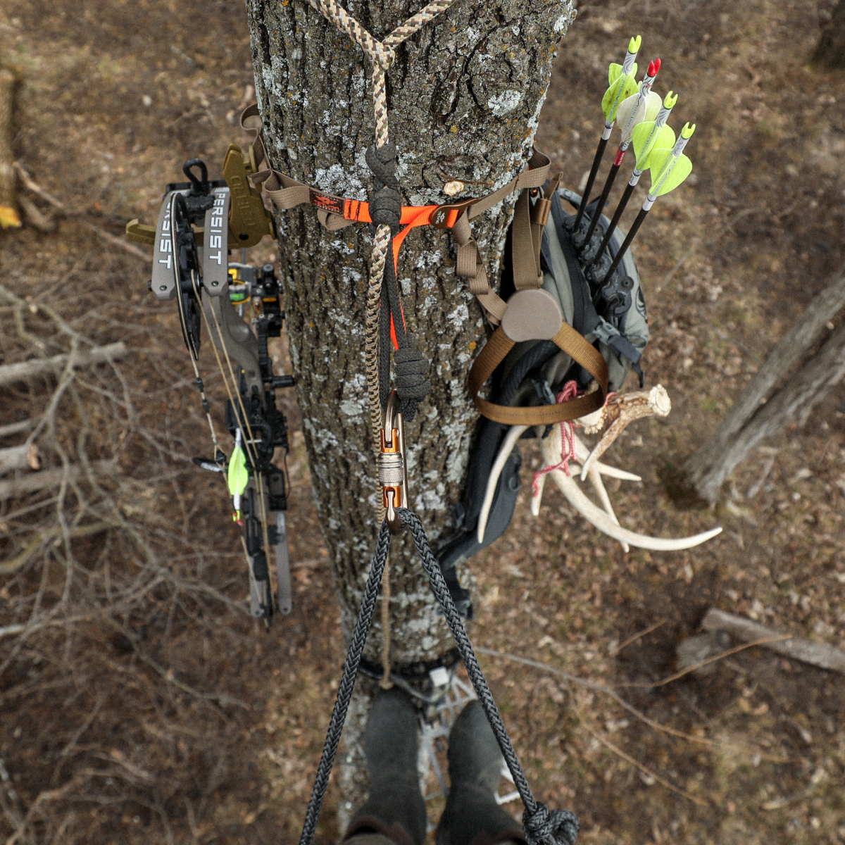 Tree Organization Kit